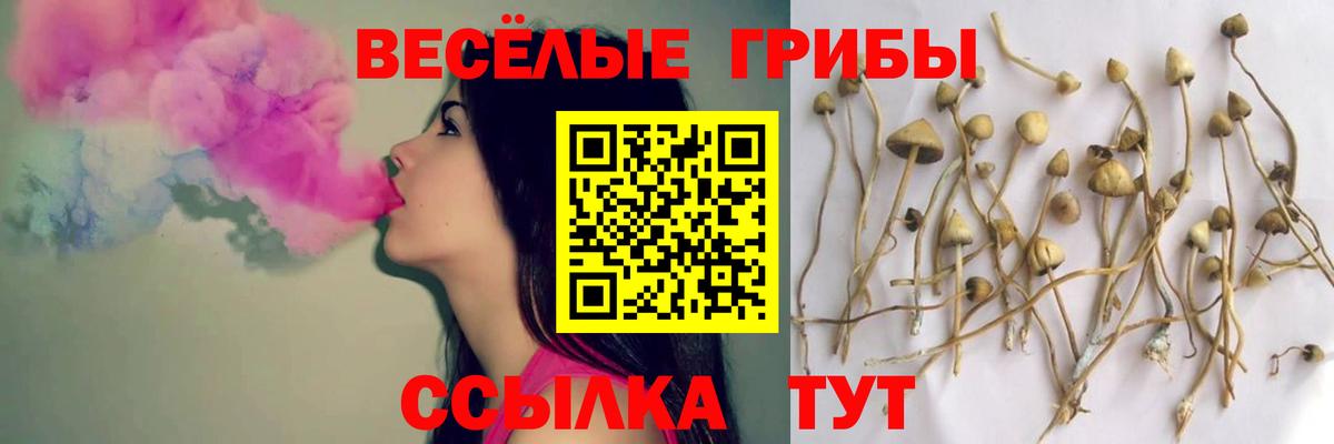Миасс  Псилоцибиновые грибы Cubensis  Галлюциногенные грибы MAGIC MUSHROOMS  Вход с VPN 